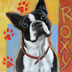 Roxy larger